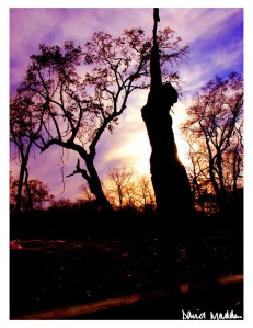 cass twig air up hanging